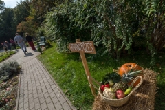 Benko_Cher_Vivien_Gasztro_fesztival-17-449x300