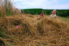 aratofesztival_102