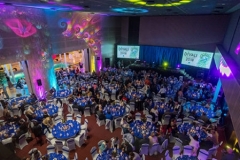 20181003_Divali_Est-Europa_Congress_Center-benkoviviencher_053-449x300