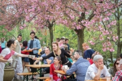 fesztival-61-450x300