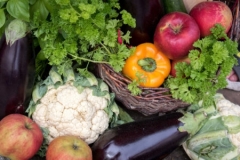 fesztival-65-450x300