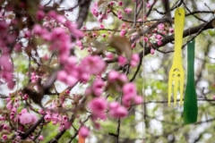 fesztival-82-450x300